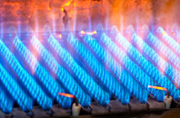 Hakin gas fired boilers